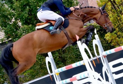 Podium finishes in September for Flanders Foal & Embryo Auction references