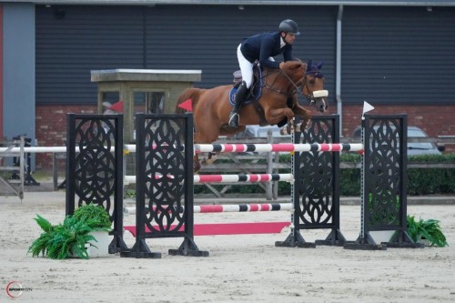 Prima Donna van \'t Roosakker