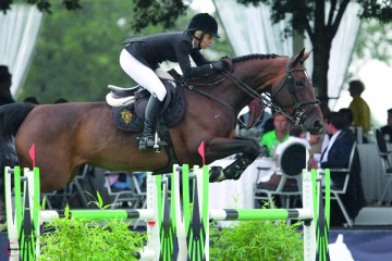 paard-13-moeder-483-0010309-105706.jpg