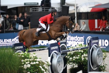 paard-18-ermitage-2024-06-21-204185.jpg
