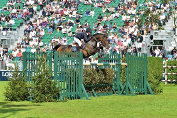 paard-2-moeder-areeb-ol.jpg