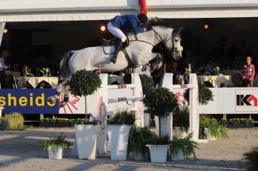 paard-6-vader-chippendale-zsportfot.jpg