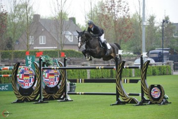 paard-attitude-z.jpg