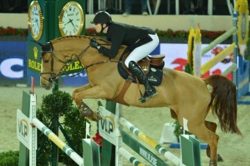 paard-banda-de-husga20626.jpeg