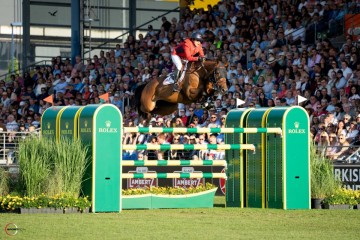 paard-bisquetta-120126.jpg