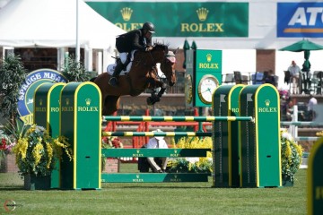 paard-chacstara-2.jpg