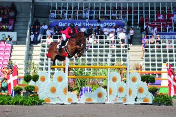 paard-chatinue-1489-jb10940.jpg