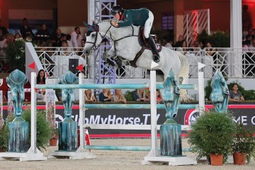 paard-cinca1576-jb14795.jpg