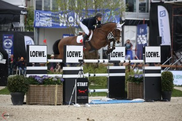 paard-daytona-121750.jpg