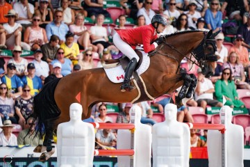 paard-figor.jpg