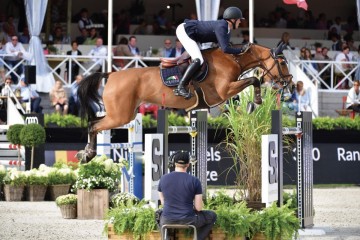paard-gancia20170903-b-52197.jpeg