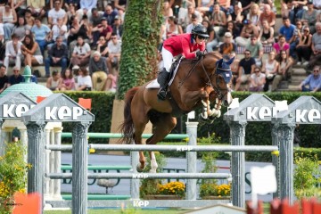 paard-garant.jpg