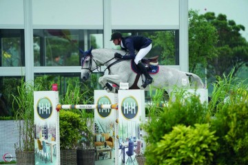 paard-h5-quintol-2.jpeg