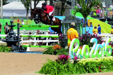 paard-hardrock720-1685137.jpeg