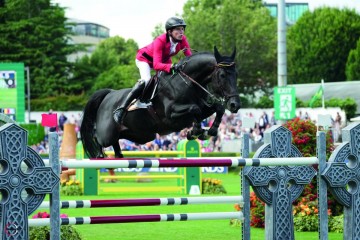 paard-impress-2-121522.jpeg