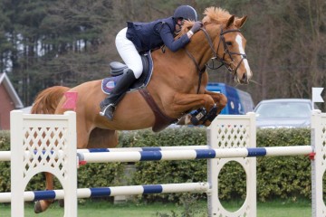 paard-joan-greene-biscaya-deversem-springtour-2013-lummen-img5736-copy.jpg