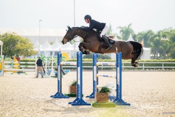 paard-kermit-van-overis-z.jpg