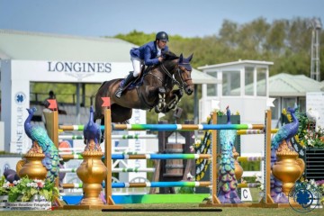paard-lespoir-dopaline-van-de-caatshoeve-klein.jpeg