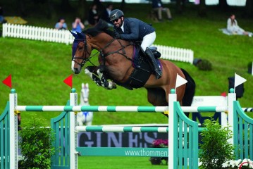 paard-narcotique-pollux1466-sp103998.jpeg