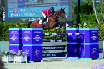 paard-nikka1512-sp100844.jpeg