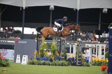 paard-ninloubet.jpg