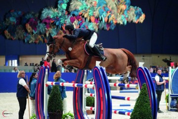 paard-oak-grove-1552-mm100910-121414.jpeg