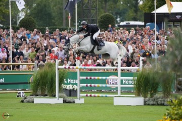 paard-picobello.jpg