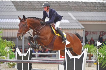 paard-pirma-donna-de-muze-20210822-ga66235-copy.jpg