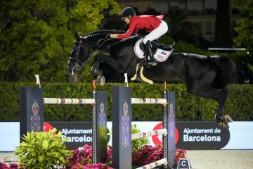 paard-qannando.jpg