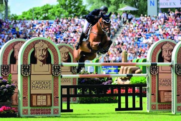 paard-romeo20220703-ga71408-195118-2-122132.jpeg