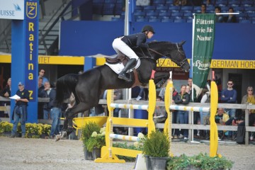 paard-scenlethaga29732-211247.jpg
