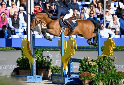 'Flanders Embryo' HHS Ocala crowned champion at the FEI WBFSH Jumping World Breeding Championships 2023